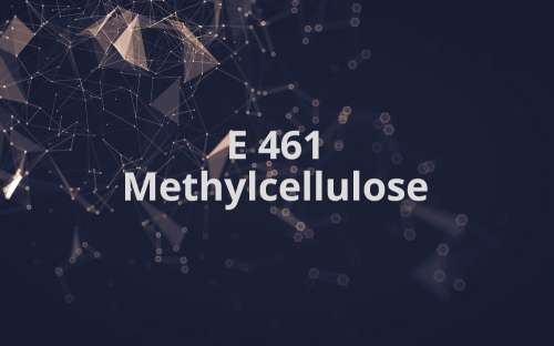 E 461