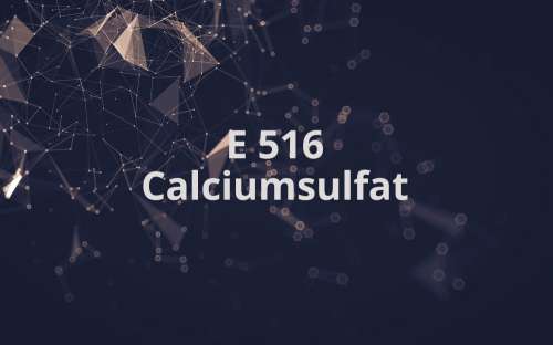 E 516