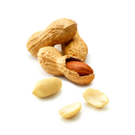 Samen und Nüsse - Lebensmittel-Warenkunde