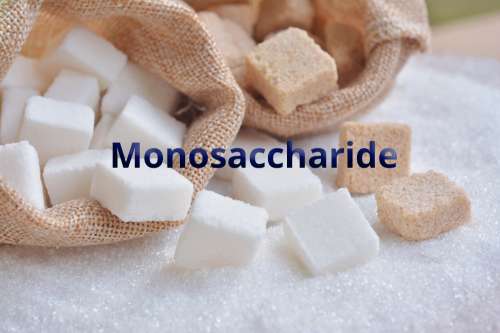 Monosaccharide