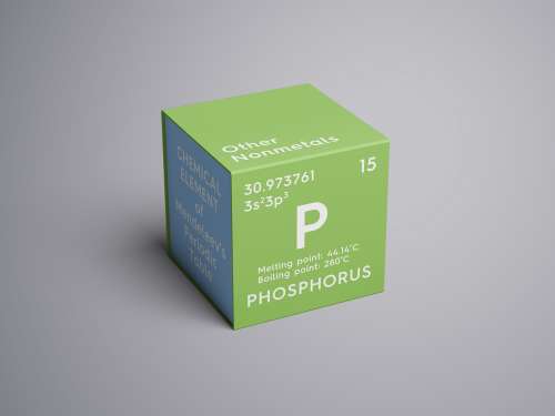 Phosphor - Ernährungslexikon