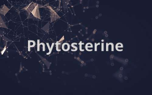 Phytosterine